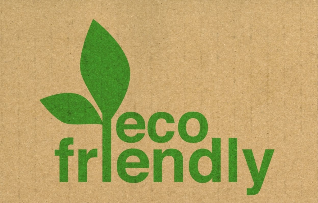 eco-friendly rentals