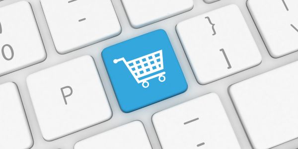 e-commerce case study for client Hemptique