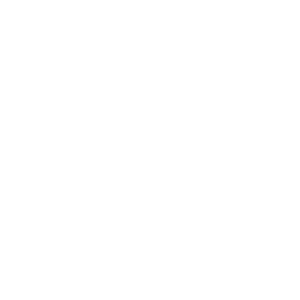 organic leads generated 